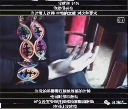 金星为何撕萨顶顶,金星和萨顶顶完整版