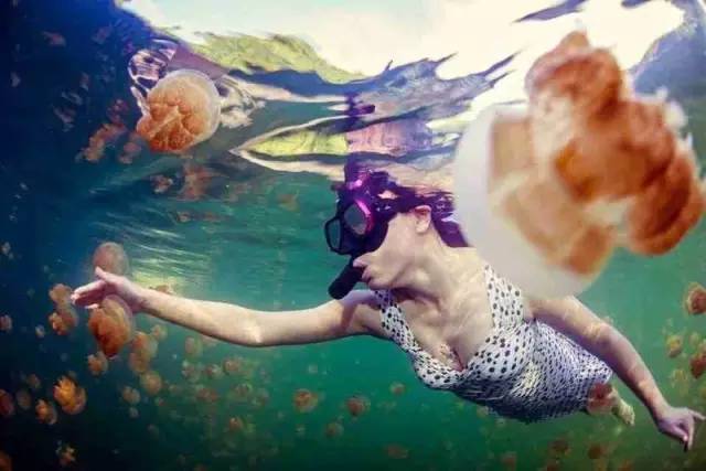 帕劳潜水旅行攻略,帕劳潜水旅行清单