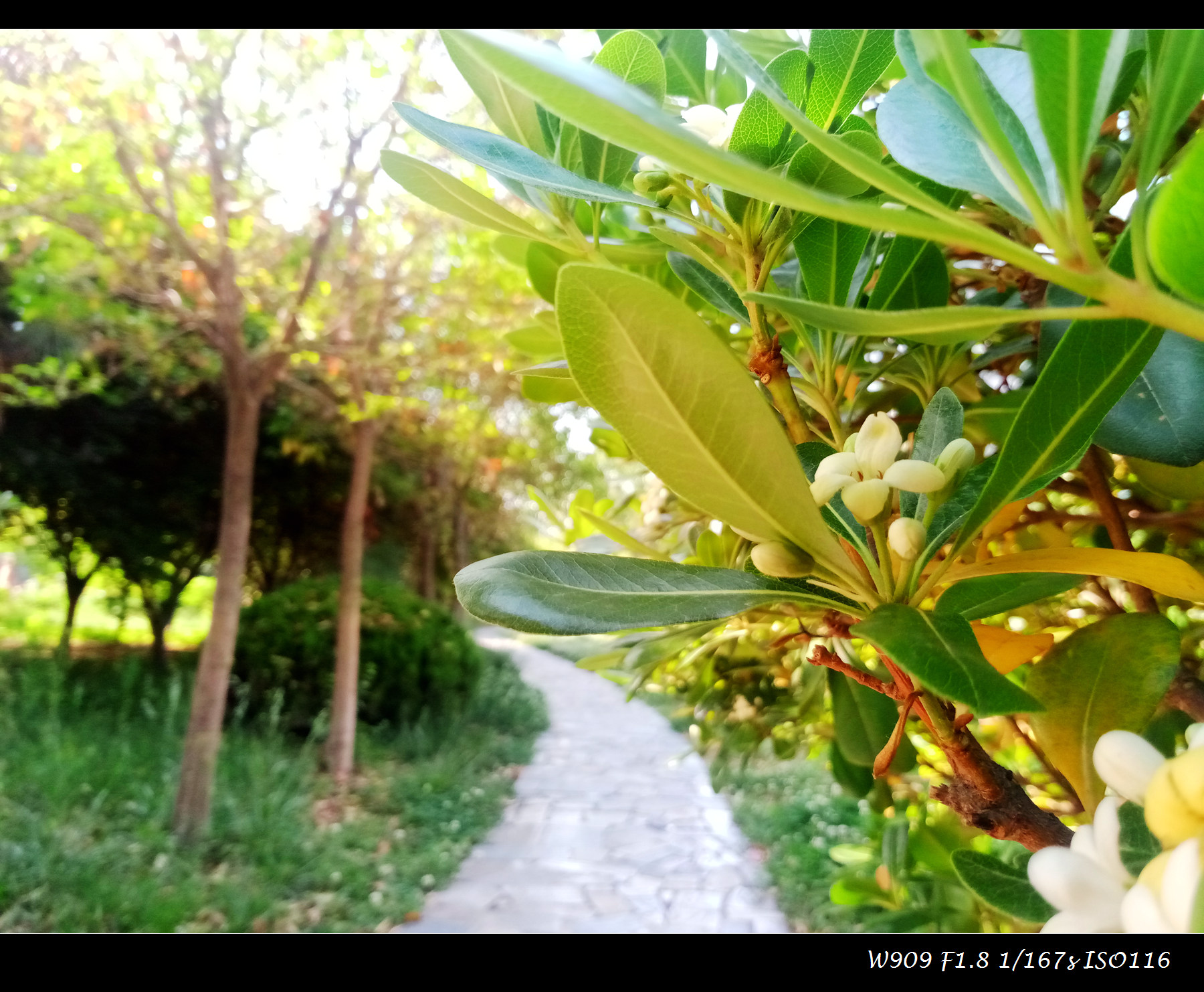 金立天鉴w909值得入手吗,金立天鉴w909翻盖手机