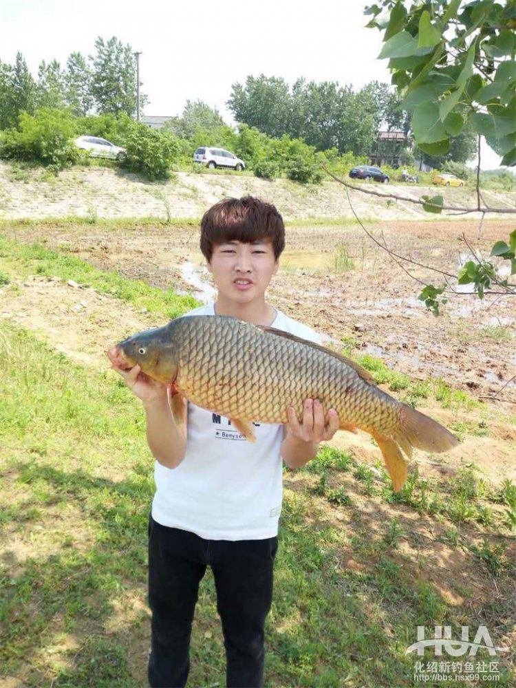 化氏速散颗粒适合用什么饵料钓,化氏不空军饵料和蓝鲫哪个好用