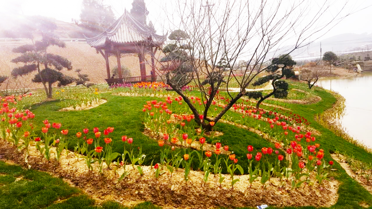 旅发大会前后景区对比,旅发大会有什么好去处