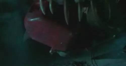 夭寿啊，章鱼上岸进化触手怪凌辱美少女啦！还好有dick警官~