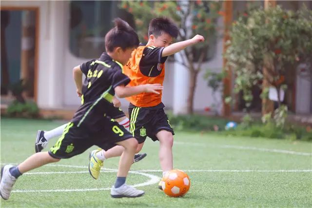 衢州十大最好的幼儿园,衢州前十名重点幼儿园