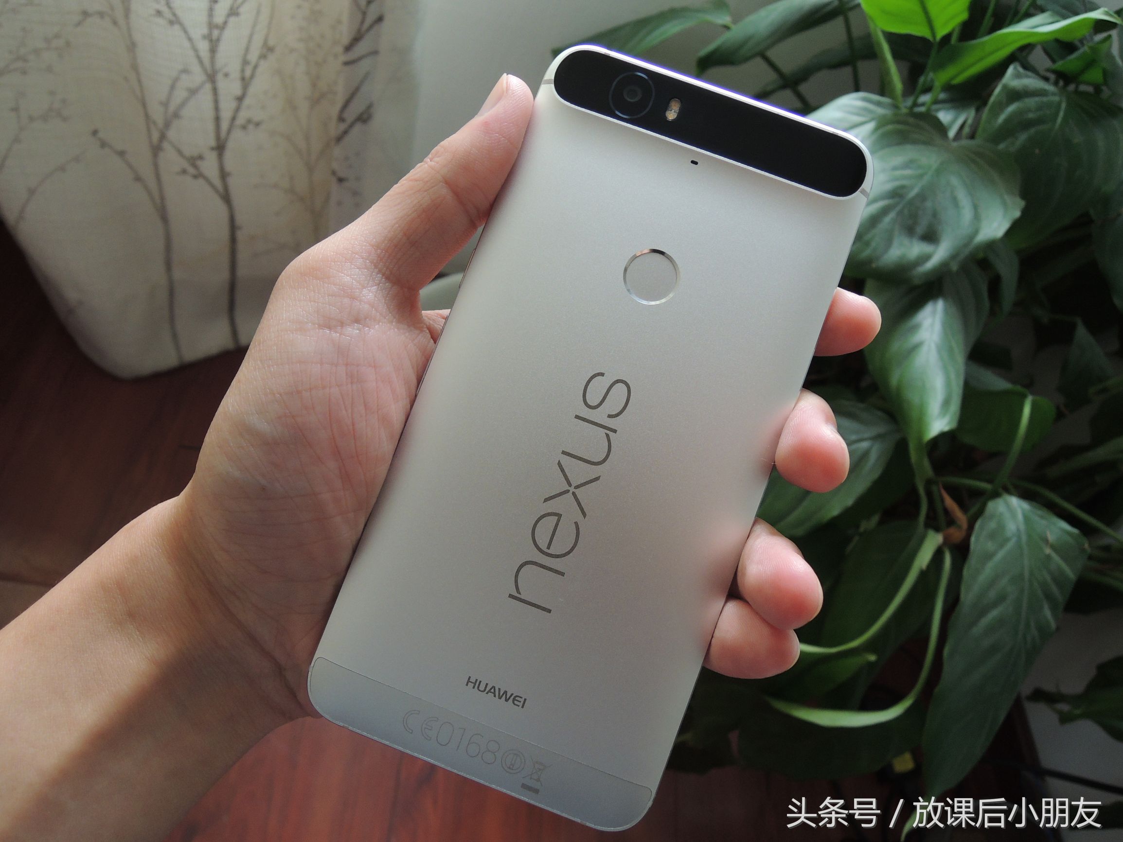 谷歌手机nexus一代,nexus6p目前官网售价