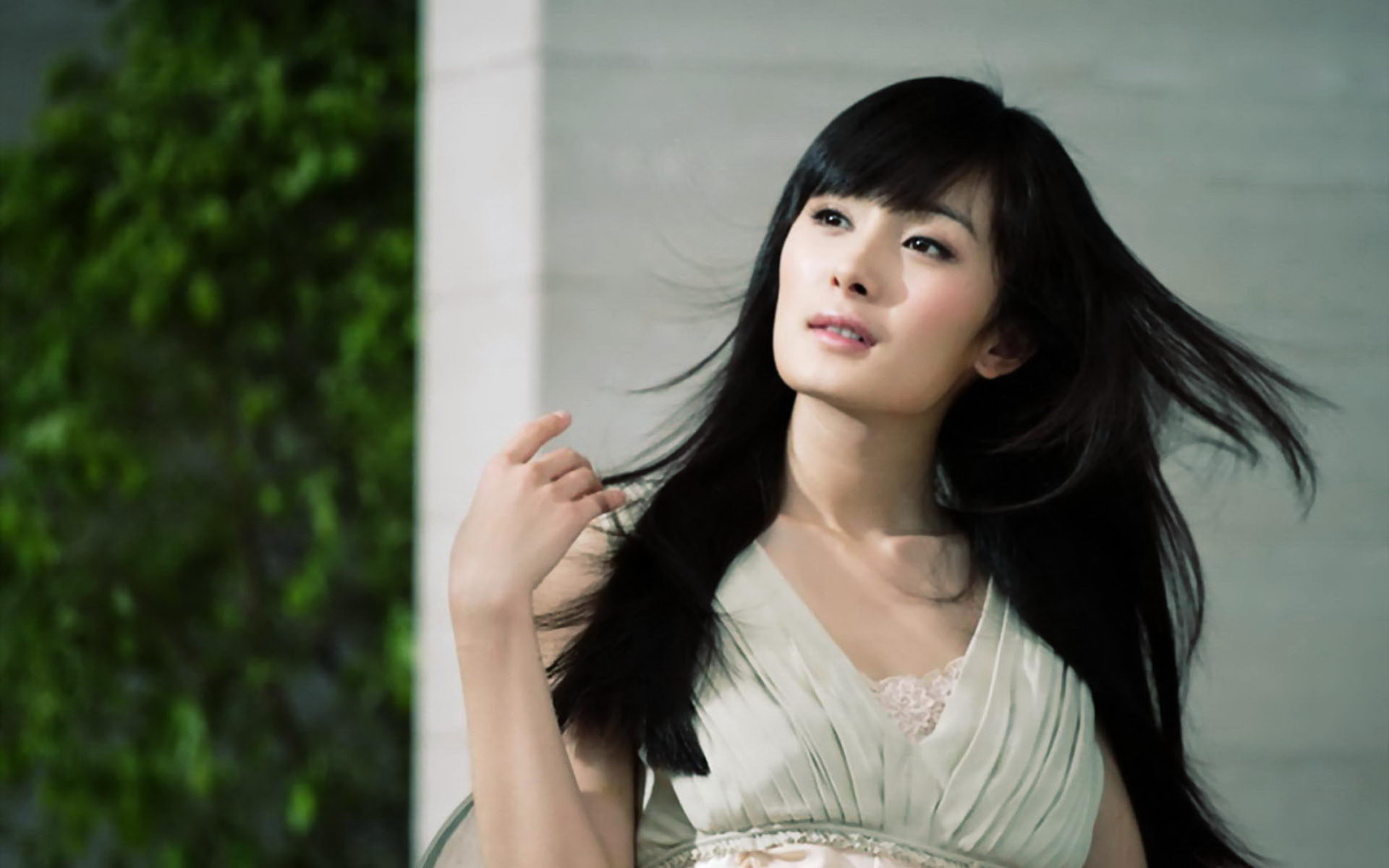 娱乐圈中被黑却最火的明星,那些被全网黑过的明星