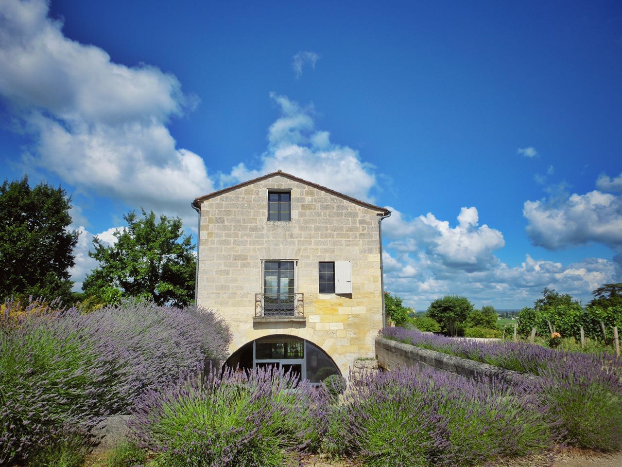 cestlavie南宁店,漫步法国葡萄酒之旅