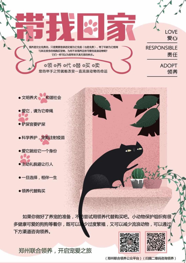 家有一群小精灵,有一群小精灵