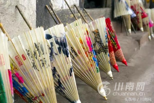 泸州看腊梅,又是一年赏梅季泸州梅花哪里赏