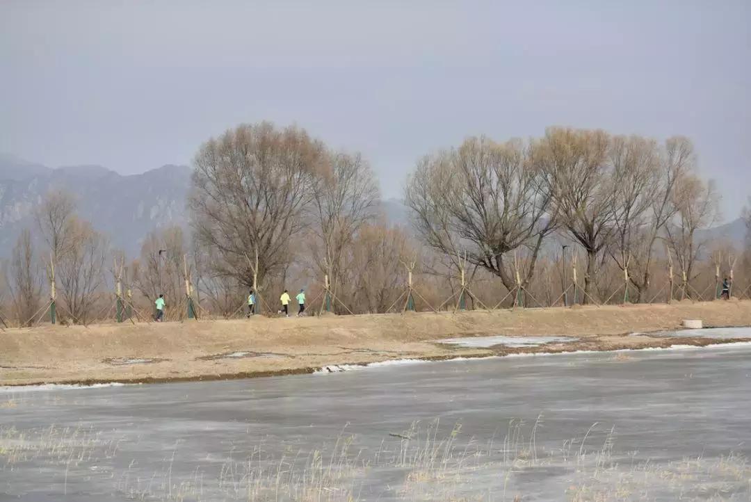 野马跑高速飘是什么原因,野马为什么哭了