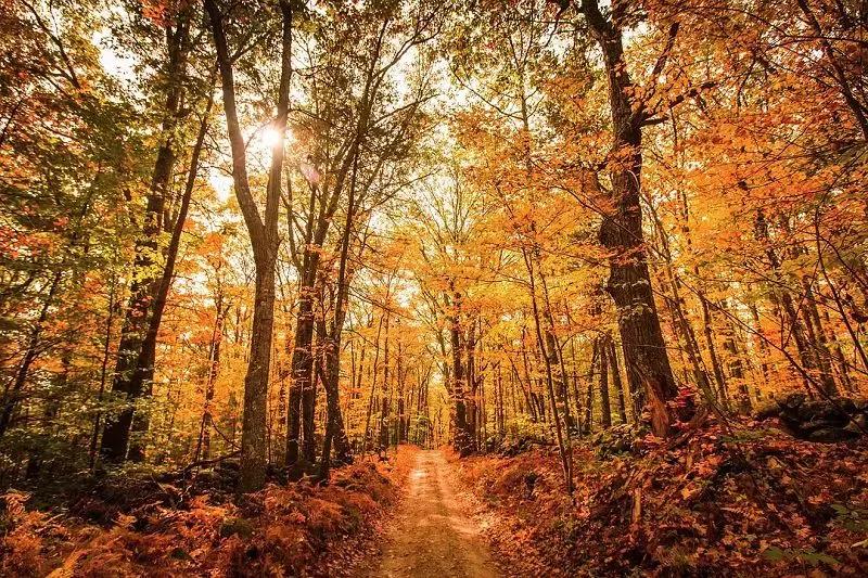 必看bbc10部地理纪录片,bbc十部顶级纪录片