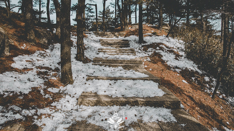 佛门圣地安徽九华山,九华山求佛一日游