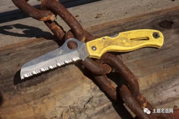 蜘蛛RescueAssistAtlanticSalt测评：同时拥有是怎样的体验