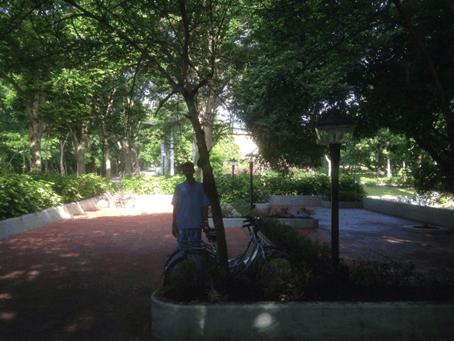 比阿里巴巴园区还要炫的Infosys班加罗尔园区，带你了解印度的IBM