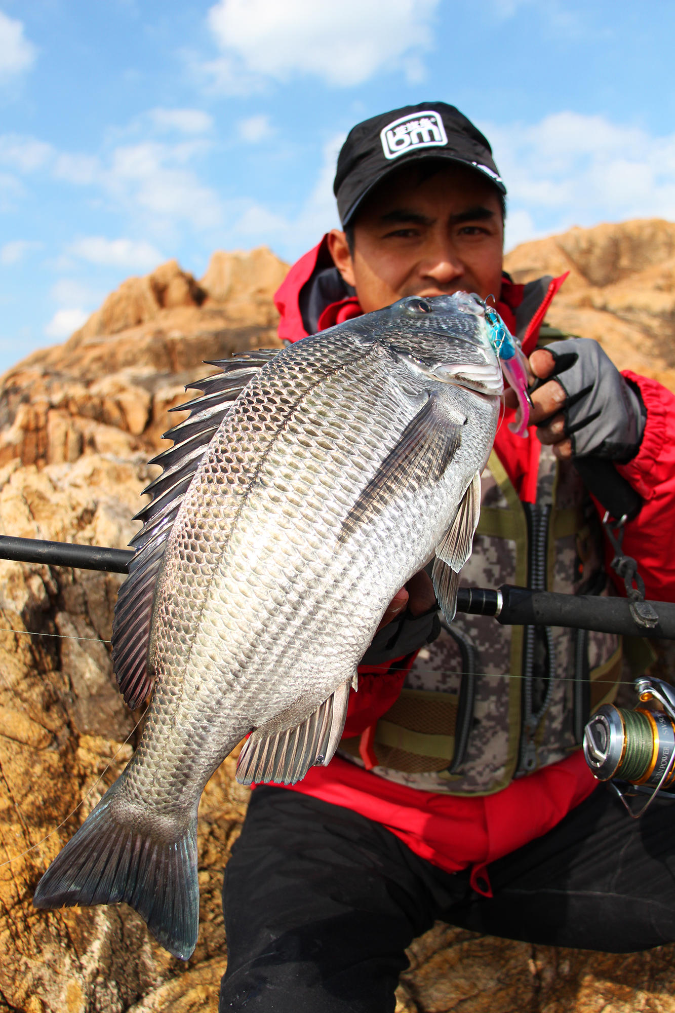 今年第一次钓海鲈鱼,最新钓七星鱼视频