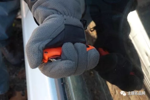 蜘蛛RescueAssistAtlanticSalt测评：同时拥有是怎样的体验