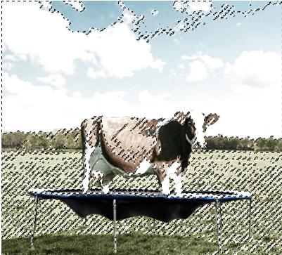 ps怎么用奶牛的斑点,ps如何调整牛肉颜色