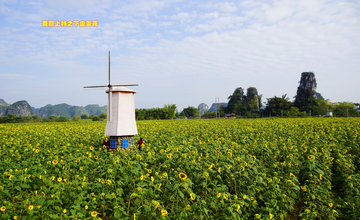 骞胯タ涓婃灄缇庢櫙,涓婃灄鐨勭編绉掓潃鍏ㄥ箍瑗挎墍鏈夌殑缇庢櫙