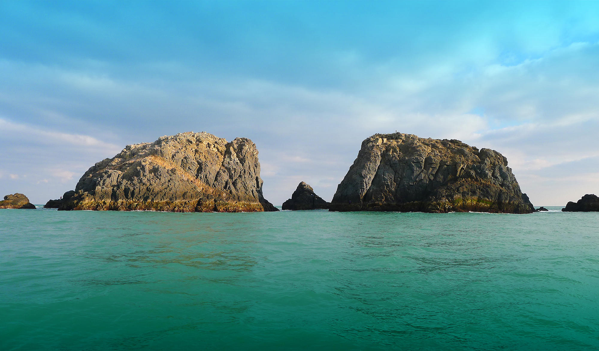 今年第一次钓海鲈鱼,最新钓七星鱼视频