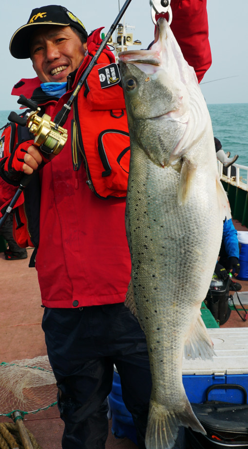 今年第一次钓海鲈鱼,最新钓七星鱼视频