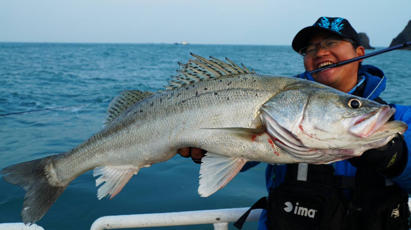 今年第一次钓海鲈鱼,最新钓七星鱼视频