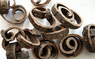 小儿感冒发烧，选小儿热速清颗粒还是小儿豉翘清热颗粒？