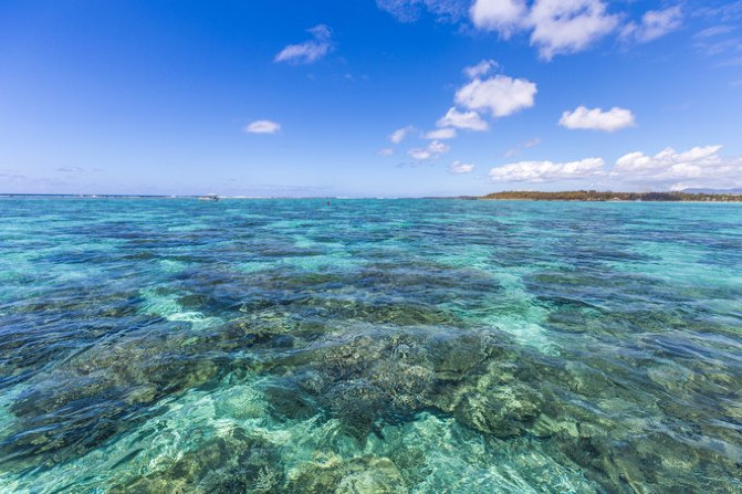 毛里求斯是什么性质的国家,干货毛里求斯旅游攻略