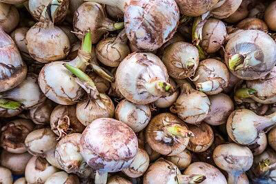 孩子几天不排便需要干预,儿童三四天不大便吃什么好