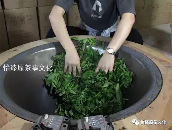 绿茶杀青小技巧,绿茶是怎样杀青