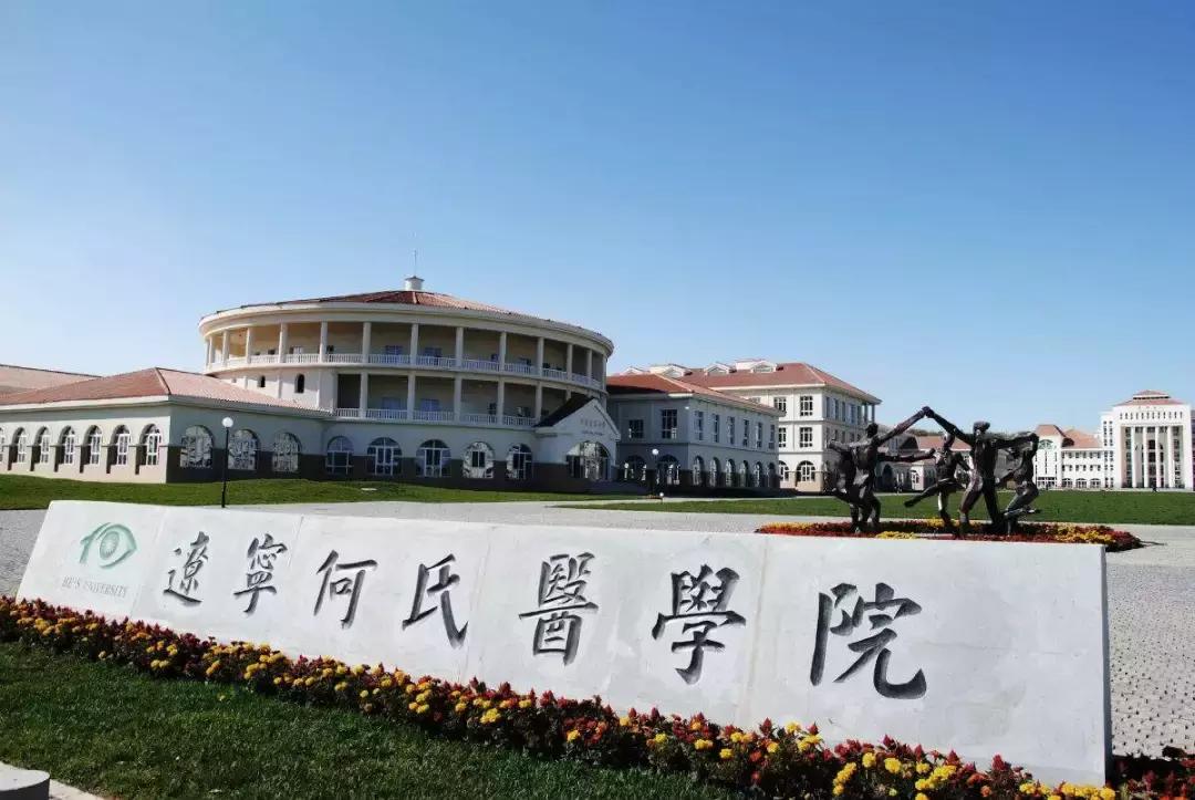沈阳排名前十的大学在国内的排名,沈阳市大学排行榜2007