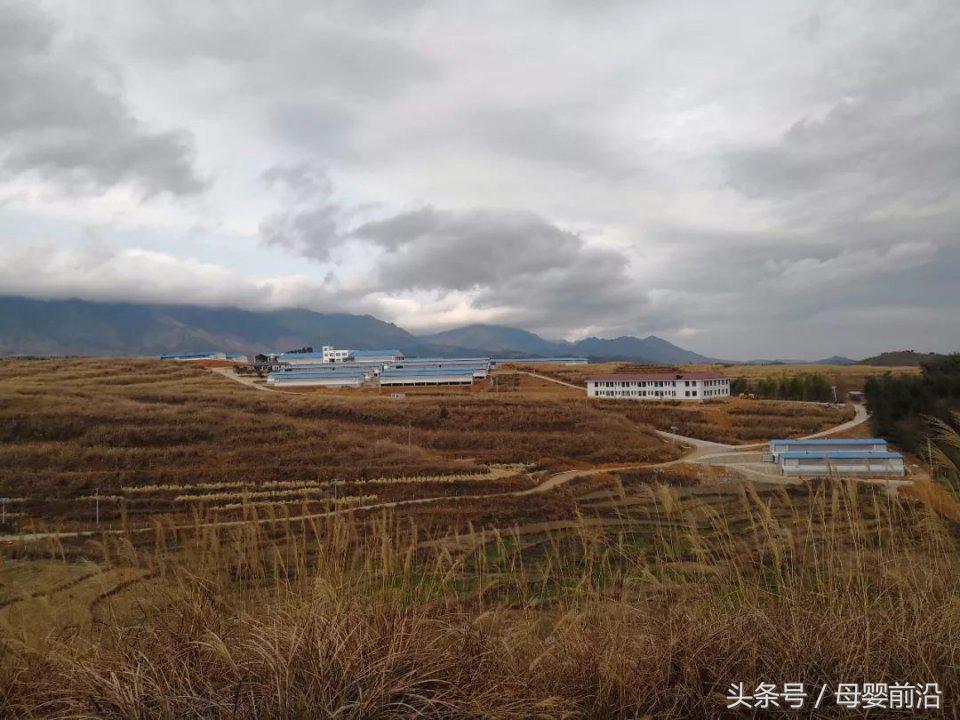 杨立新为何要抛弃9年初恋潘小雅,杨立新帮助杨玏