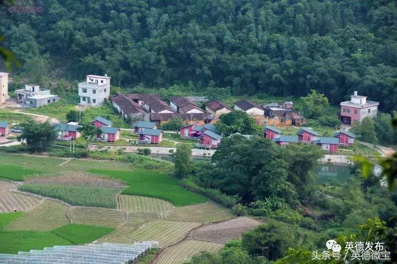 英红镇水头谢屋村,英德英红谢屋村
