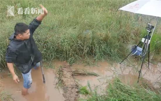 网红农民直播,网红直播农村生活