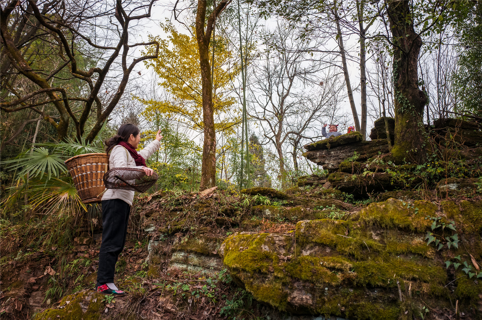 湘西龙脉风水传说,湘西龙山龙脉风水宝地