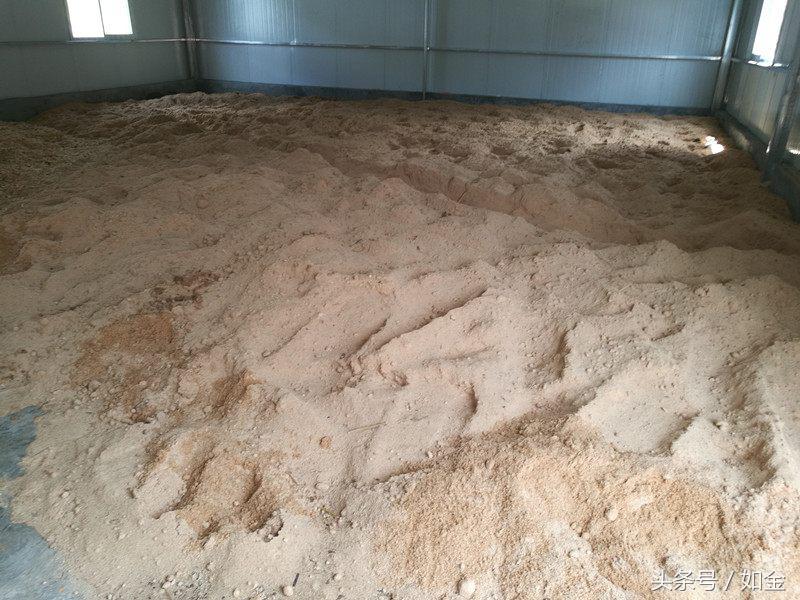 养殖场发酵床的制作方法,如何制作发酵床不用菌种