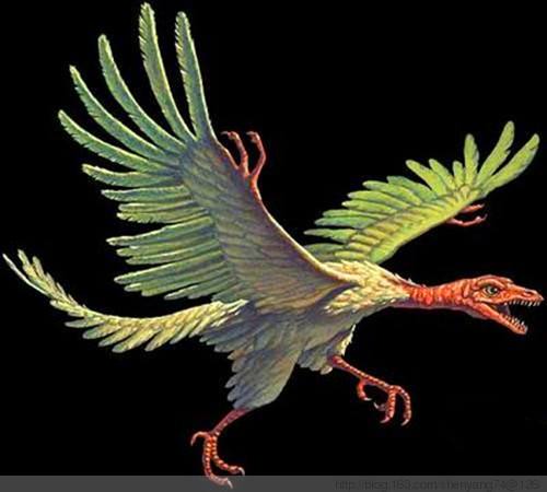 十大最著名的恐龙,盘点我国最著名的十大恐龙