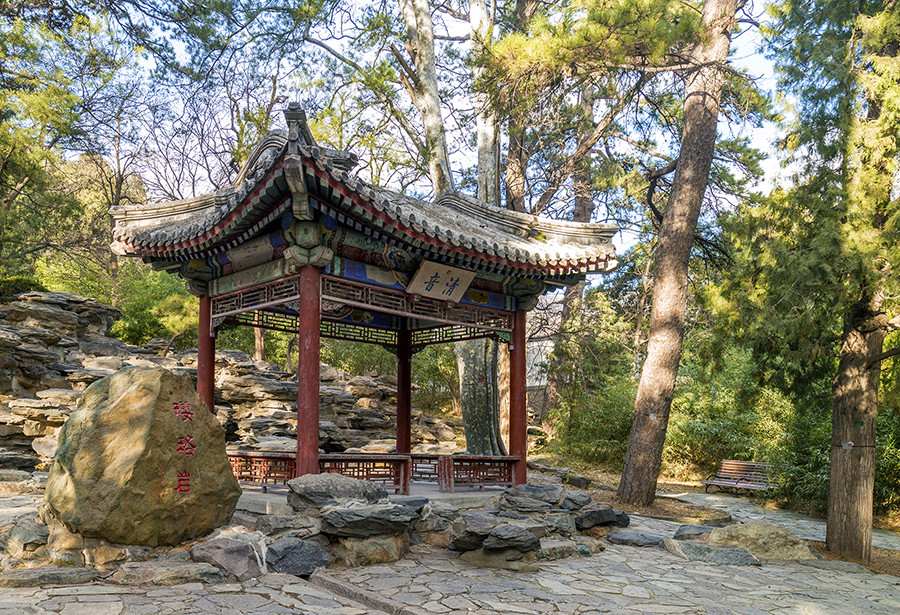 无雪的冬天原文,无雪的冬天