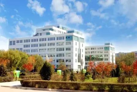 沈阳排名前十的大学在国内的排名,沈阳市大学排行榜2007