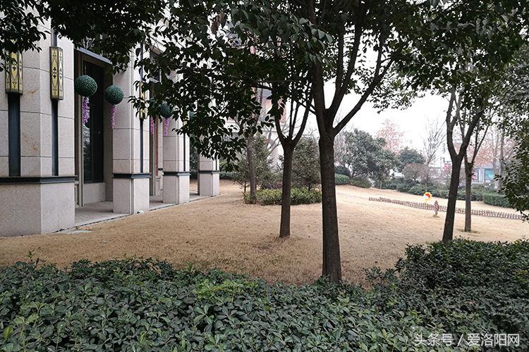 和昌中央城邦小户型,和昌中央城邦房价最新