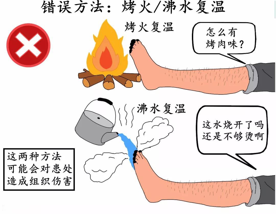 菜鸟日记在线观看,菜鸟日记最新版