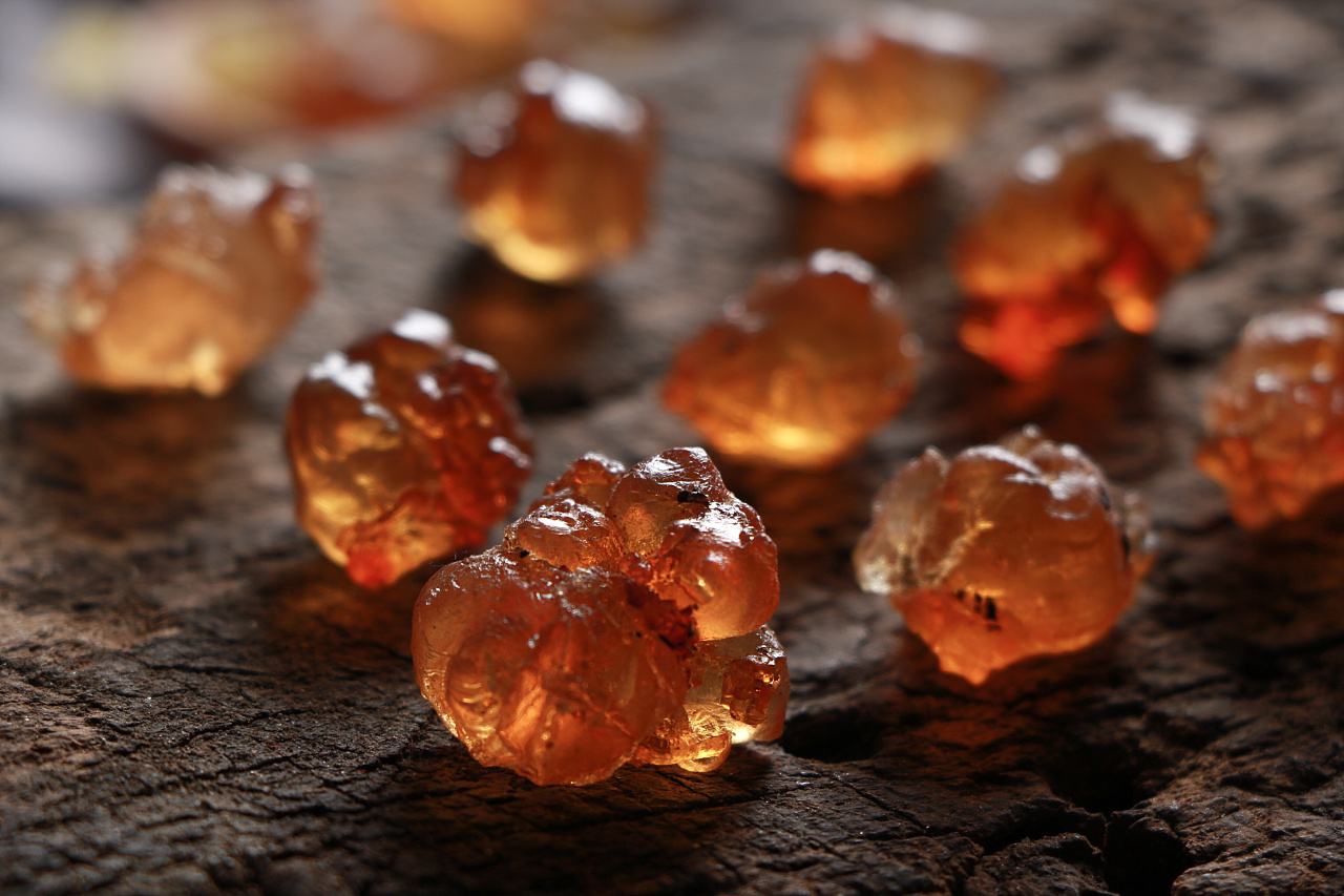 植物燕窝和天然燕窝的区别,植物燕窝营养价值