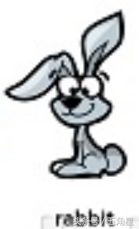 20个动物英语单词,2-8岁儿童学动物英文单词