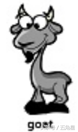 20个动物英语单词,2-8岁儿童学动物英文单词