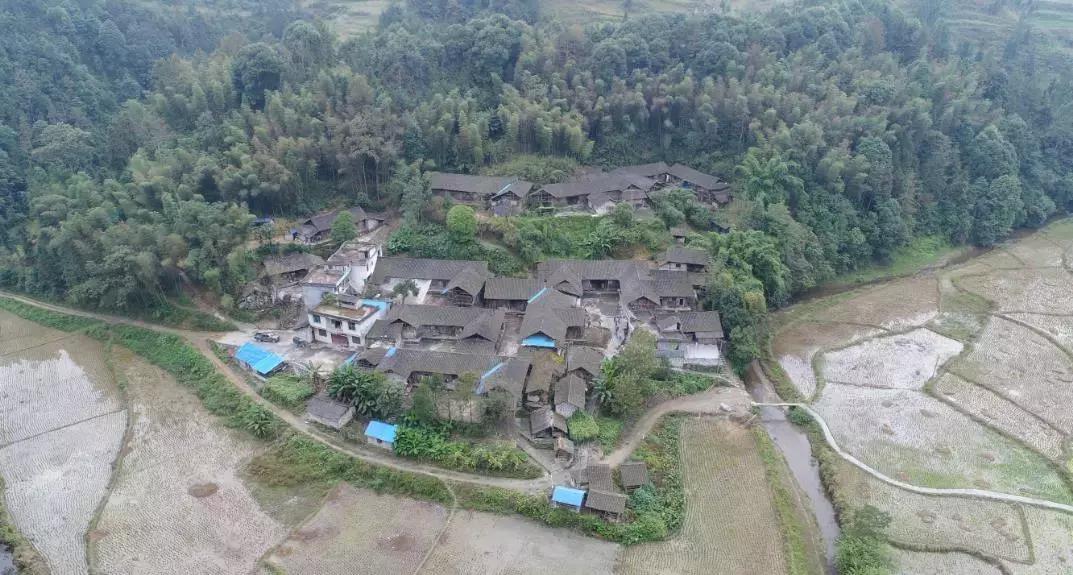 蛙宝的缺点,蛙宝的真实样子