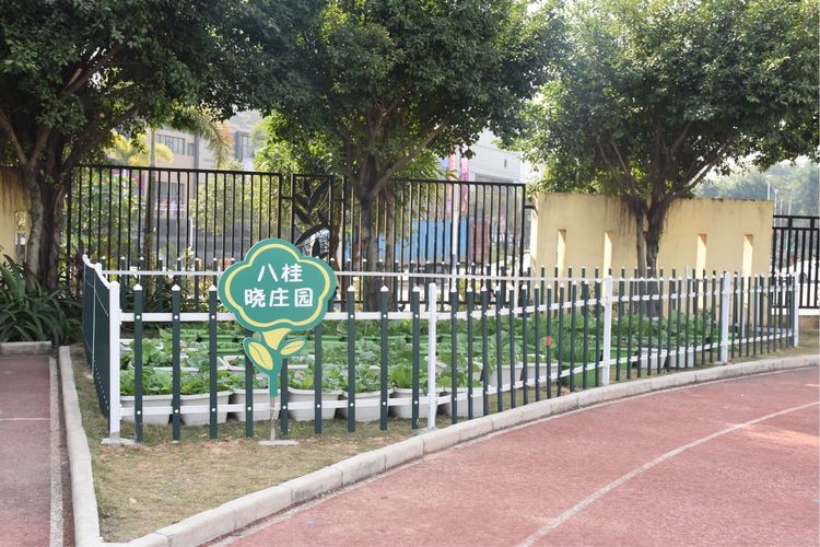 学生成长的沃土师生眷恋的乐园一一八桂绿城小学2017年工作汇报