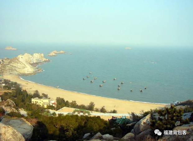 你们养的蛙现在回家了吗,养的蛙都去哪里了