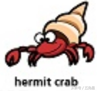 20个动物英语单词,2-8岁儿童学动物英文单词