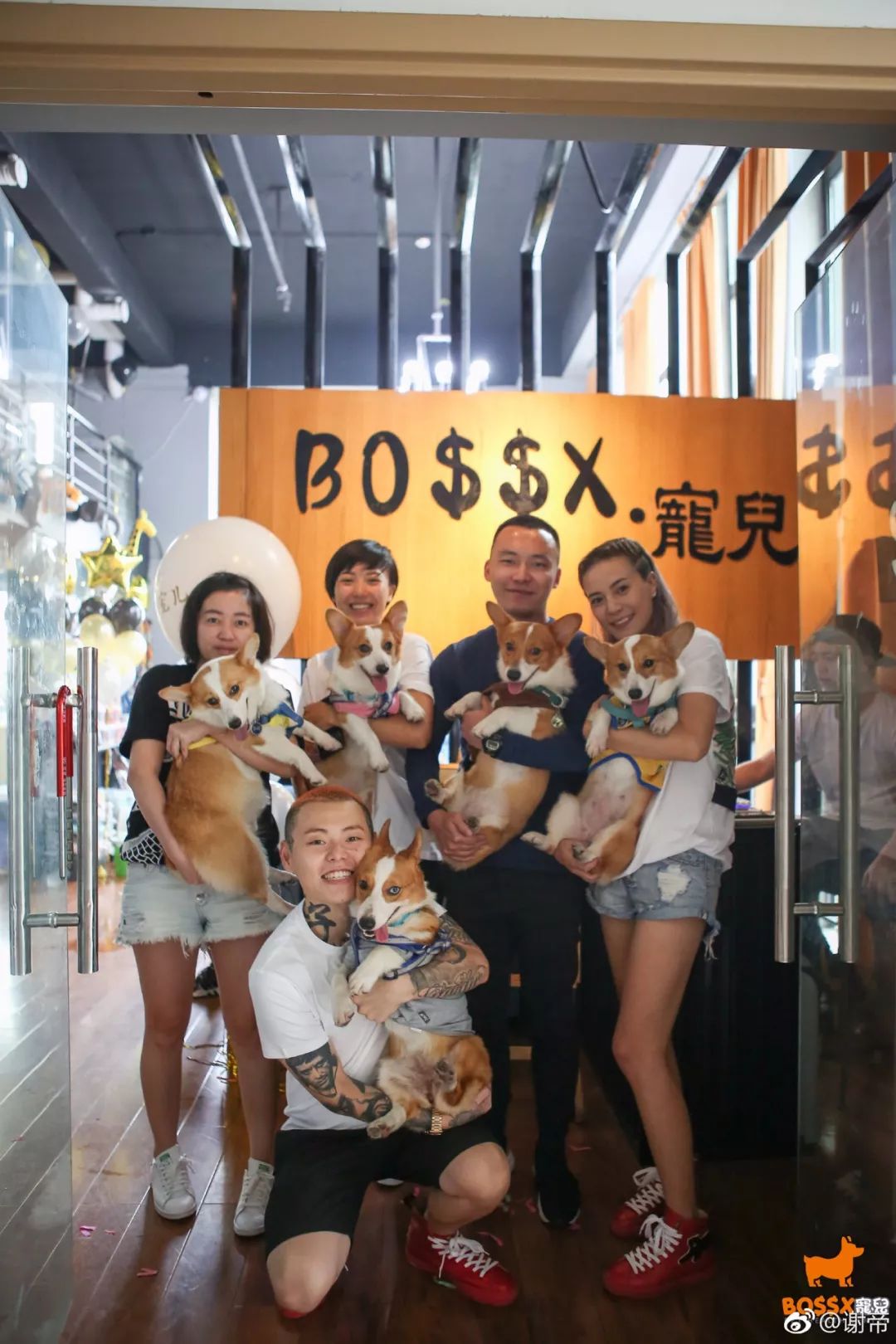 谢帝今年专辑,谢帝今年发布多少歌