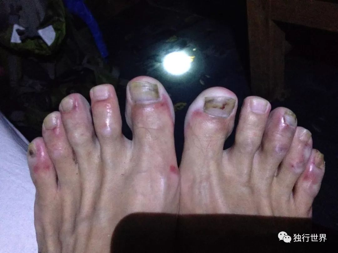 当你还在为生活抱怨,当你还在抱怨生活不易的时候