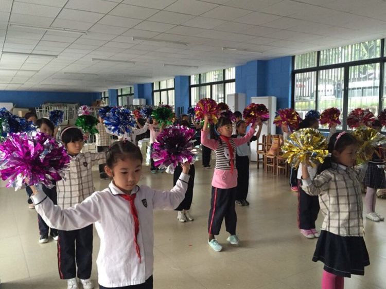 学生成长的沃土师生眷恋的乐园一一八桂绿城小学2017年工作汇报