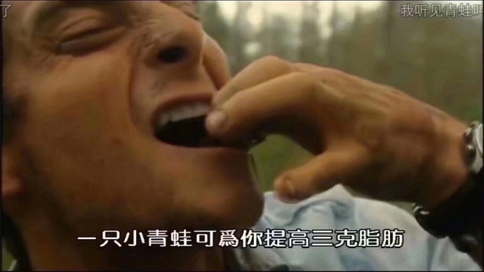 你不知道的佛系蛙隐藏生活模式，需要购买这个道具